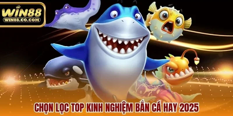 Chọn lọc top kinh nghiệm bắn cá hay 2025