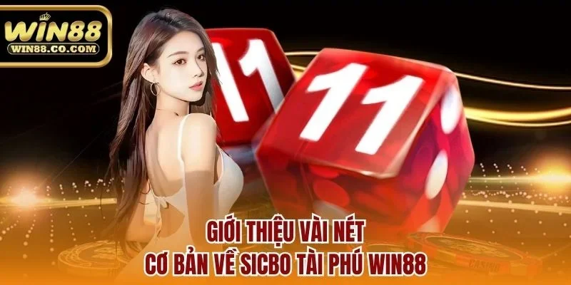 Giới thiệu vài nét cơ bản về sicbo tài phú Win88