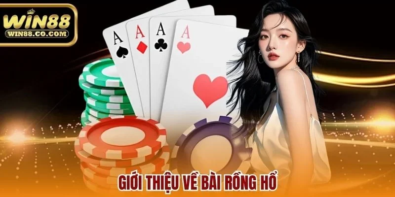 Giới thiệu về bài rồng hổ
