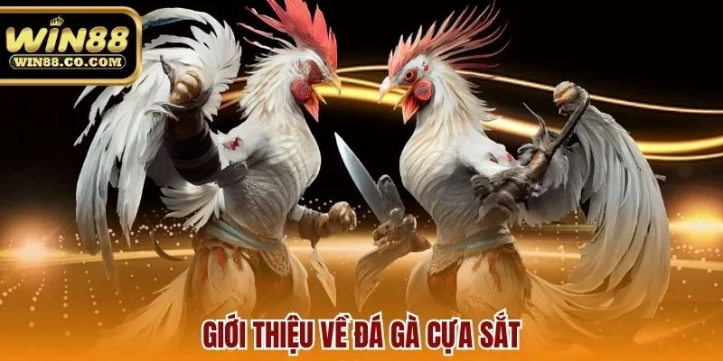 Giới thiệu về đá gà cựa sắt