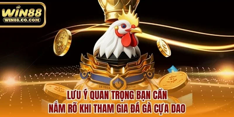 Lưu ý quan trọng bạn cần nắm rõ khi tham gia đá gà cựa dao