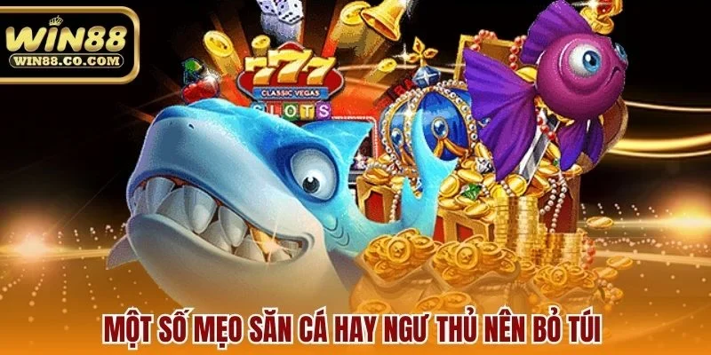 Một số mẹo săn cá hay ngư thủ nên bỏ túi