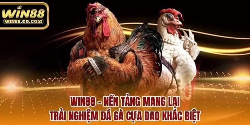 Win88 - nền tảng mang lại trải nghiệm đá gà cựa dao khác biệt